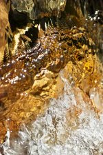 Hans Karuga | Fotografie | Ammer