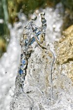 Hans Karuga | Fotografie | Ammer