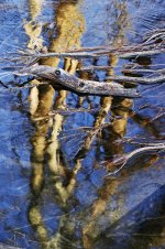 Hans Karuga | Fotografien | Aubachtal