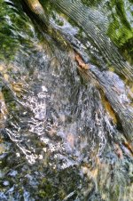 Hans Karuga | Fotografien | Aubachtal