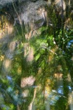 Hans Karuga | Fotografien | Aubachtal