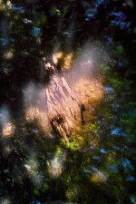 Hans Karuga | Fotografien | Aubachtal