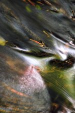 Hans Karuga | Fotografien | Aubachtal