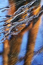 Hans Karuga | Fotografien | Aubachtal