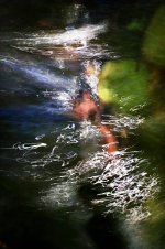 Hans Karuga | Fotografien | Aubachtal