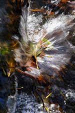 Hans Karuga | Fotografien | Aubachtal