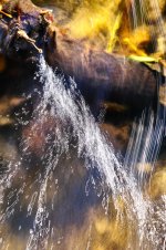 Hans Karuga | Fotografien | Aubachtal