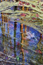 Hans Karuga | Fotografien | Aubachtal