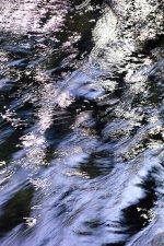 Hans Karuga | Fotografie | Reflexionen II