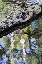 Hans Karuga | Fotografie | Reflexionen II