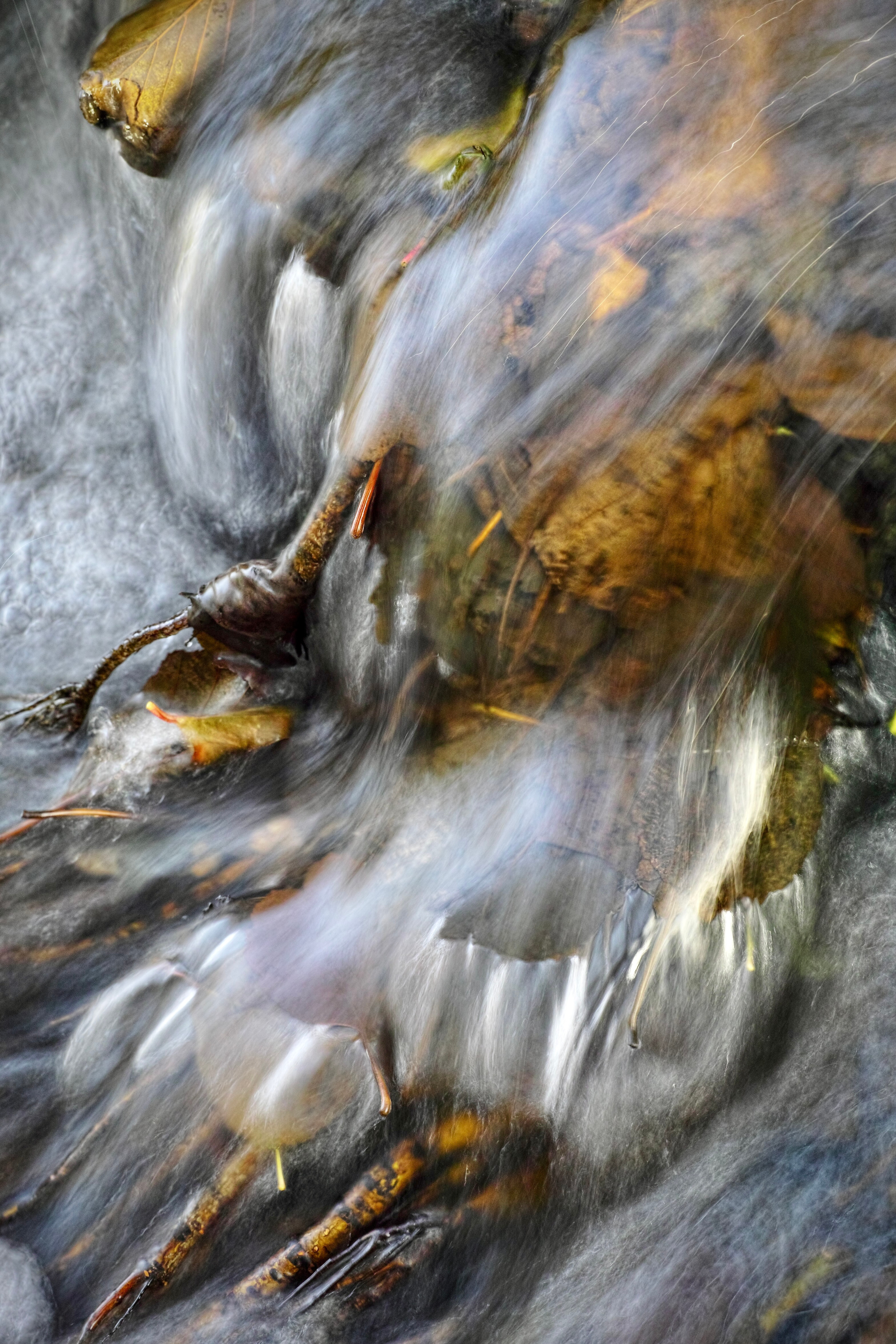 Hans Karuga | Fotografien | Aubachtal