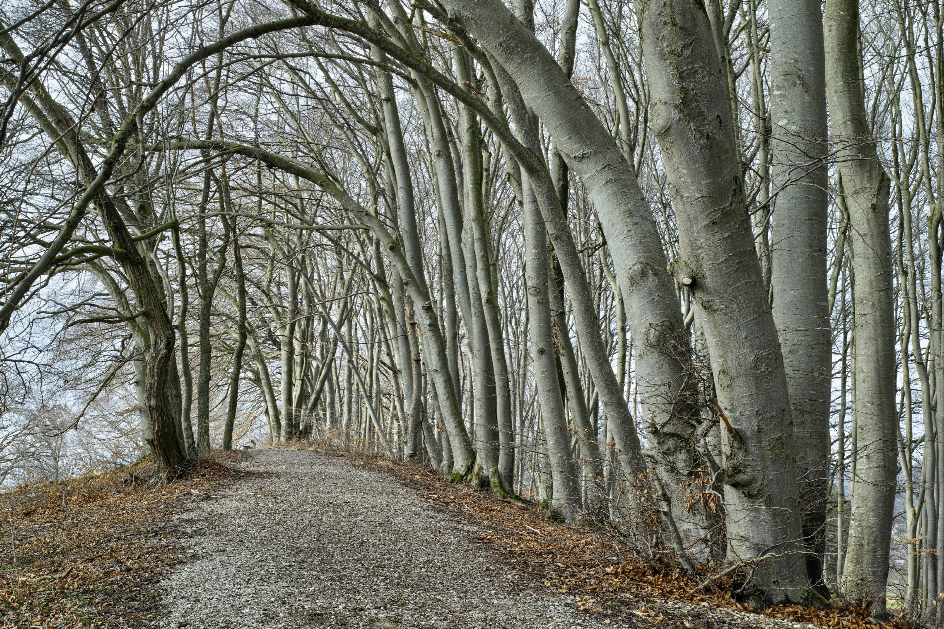 Hans Karuga | Fotografie | Wessling